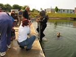 IMG_3622 IMG_3622