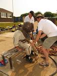 IMG_3751 IMG_3751