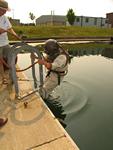 IMG_3754 IMG_3754