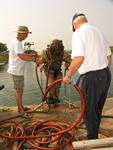 IMG_3766 IMG_3766