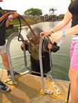 IMG_3762 IMG_3762