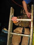 IMG_5445 IMG_5445