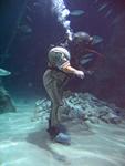 IMG_5447 IMG_5447