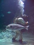 IMG_5448 IMG_5448