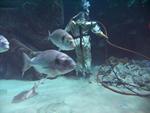IMG_5451 IMG_5451