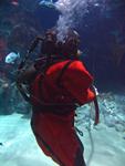 IMG_5553 IMG_5553