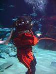 IMG_5564 IMG_5564