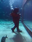 IMG_5566 IMG_5566