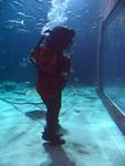 IMG_5568 IMG_5568
