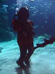 IMG_5569 IMG_5569