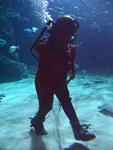 IMG_5571 IMG_5571