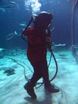 IMG_5572 IMG_5572