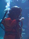 IMG_5575 IMG_5575