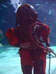 IMG_5577 IMG_5577