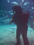 IMG_5583 IMG_5583
