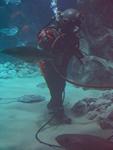 IMG_5586 IMG_5586