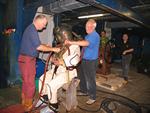 IMG_5360 IMG_5360