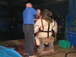 IMG_5361 IMG_5361