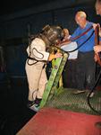 IMG_5365 IMG_5365