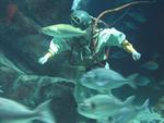 IMG_5368 IMG_5368