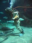 IMG_5371 IMG_5371