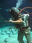 IMG_5373 IMG_5373