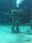 IMG_5376 IMG_5376