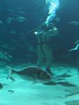 IMG_5377 IMG_5377