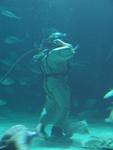 IMG_5378 IMG_5378