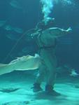 IMG_5379 IMG_5379