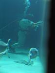 IMG_5380 IMG_5380