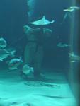 IMG_5381 IMG_5381