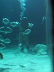 IMG_5382 IMG_5382