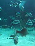 IMG_5383 IMG_5383