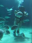 IMG_5384 IMG_5384