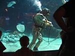IMG_5385 IMG_5385
