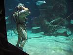 IMG_5386 IMG_5386