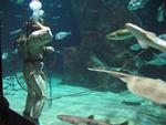 IMG_5387 IMG_5387