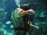 IMG_5389 IMG_5389