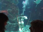 IMG_5390 IMG_5390