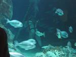 IMG_5391 IMG_5391