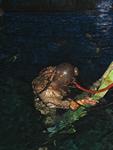IMG_5503 IMG_5503