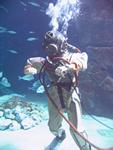 IMG_5506 IMG_5506