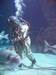 IMG_5513 IMG_5513