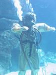 IMG_5517 IMG_5517