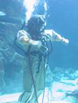IMG_5518 IMG_5518