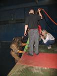 IMG_5532 IMG_5532