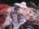IMG_5529 IMG_5529