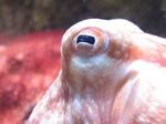 IMG_5522 IMG_5522