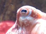 IMG_5523 IMG_5523